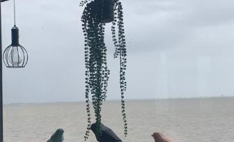 Traumlage Nr 58 Direkt am Wattenmeer Erste Reihe Unendliche Weite, Eingebettet in der Natur