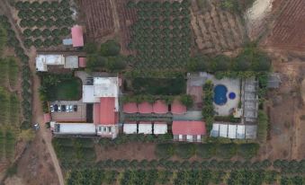 Lion Park Hotel & Resort