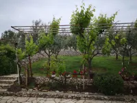 Apartments Tara Hotels in Razanac