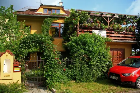 Penzion U Lesa Отели в г. Ческе-Будеевице