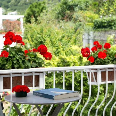 Riolinciano14 B&B