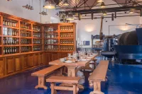 Vila Gale Collection Alter Real - Resort Equestre, Conference & Spa - breakfast