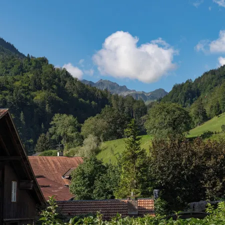 Alpenblick Hotel & Restaurant Wilderswil by Interlaken