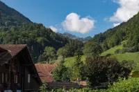 Alpenblick Hotel & Restaurant Wilderswil by Interlaken - Mountain view