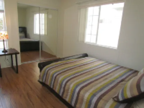 Peach Blossom Across from the Beach