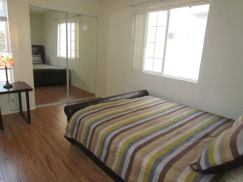 Peach Blossom Across from the Beach