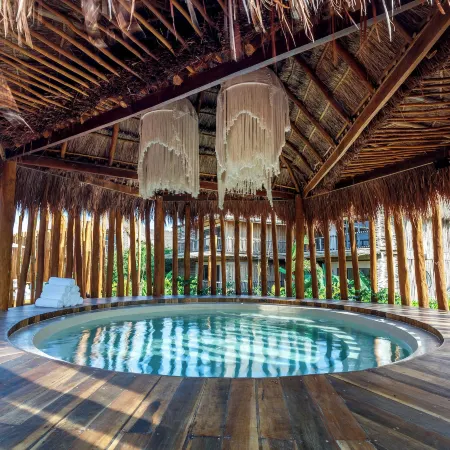 Hotel Shibari - Restaurant & Cenote Club