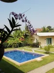 Longan Tree - Pools