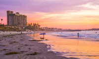 Steps to Sand, Foodie Land! PURA VIDA! Hotels near Balboa Candy