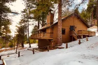 Dog-Friendly home with fireplace, washer/ dryer & deck - near shops & dining Hotel a Running Springs
