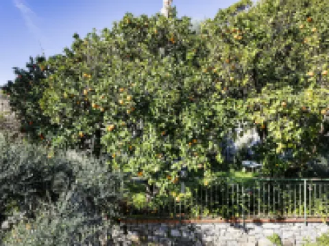 Seaview Apartment With Garden in Recco by Wonderful Italy Hotels in Recco