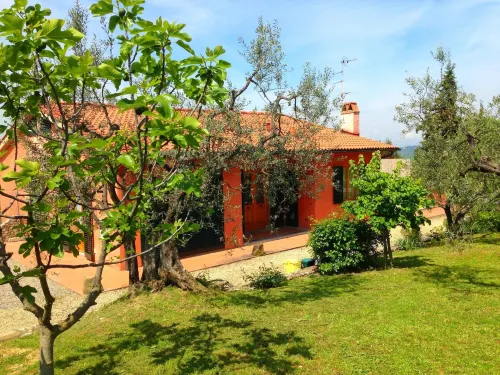 Getaway Amidst Vineyards