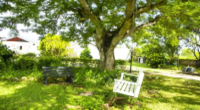 Maranatha別墅 住宿飯店