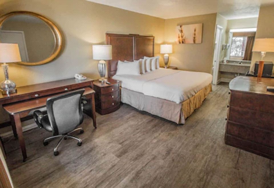 5. 데이즈 인 바이..