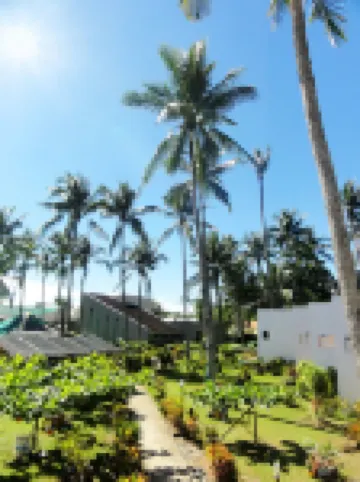 Fiesta Resort Hoteles en 