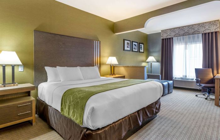 Comfort Suites Southgate-Detroit