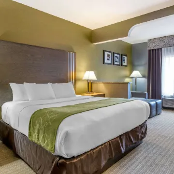 Comfort Suites Southgate-Detroit