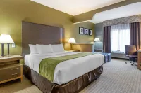 Comfort Suites Southgate-Detroit - piscina
