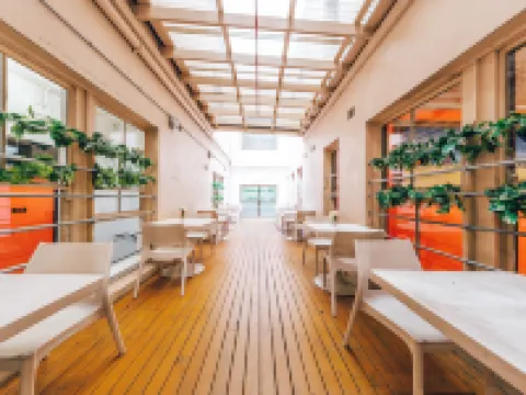 Maze Backpackers - Sydney Hotels in Sydney