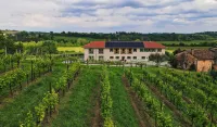 Mani Sagge - Cantina Locanda Agriturismo Wine Bar Hotel in zona S.I.D.O. Sviluppo Investimenti Distribuzione Organizzata S.R.L.