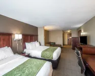 Comfort Suites Columbia - University Area Hotel in zona Delta Delta Delta