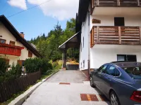 Apartment Crystal Rose Hôtels à : Gozd Martuljek