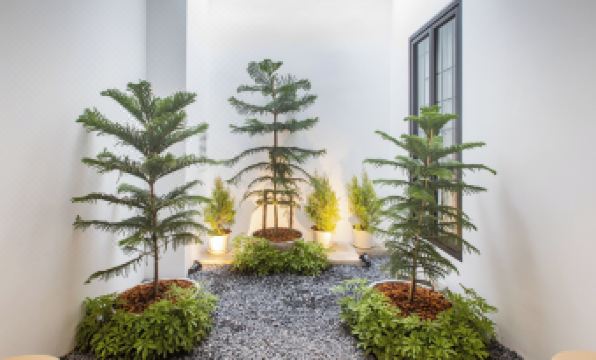 The Elements Boutique House