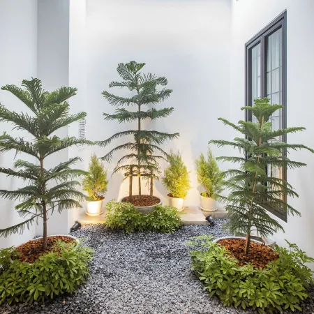 The Elements Boutique House