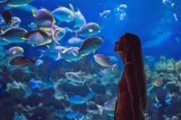 Labourdonnais Waterfront Hotel - С бассейном