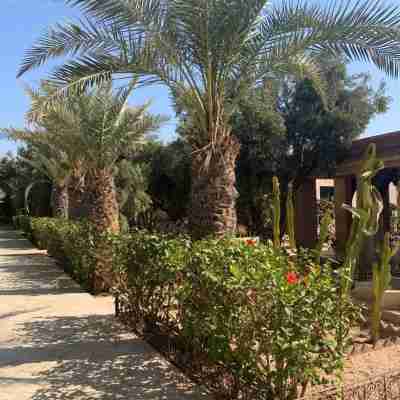 Riad le Jasmin Hotel Exterior