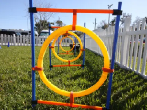 Southern Oaks Inn - Saint Augustine Hotels in St. Augustine