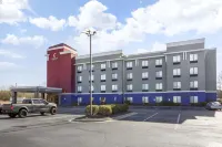 Comfort Suites Wilson - I - 95 Hotels in Wilson