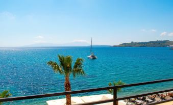 Dinc Pension