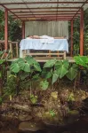 Cedro Amazon Lodge - spa
