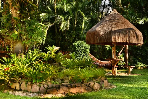 Recanto Das Andorinhas Studios