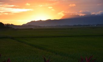 Sunset Valley Holiday Houses