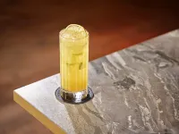 薩格勒布瑞享酒店 - 酒吧