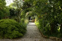 Quinta de São Lourenço - Villas