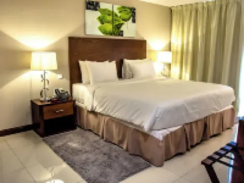 ラマダ パラマリボ プリンセス ホテル パラマリボのホテル