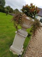 Chatterley House