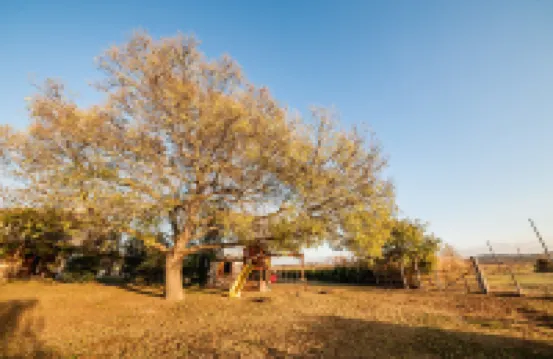 埃爾莫利諾農莊酒店