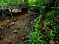 烏達瓦拉瓦維野生動物園大度假村 烏達瓦拉瓦酒店