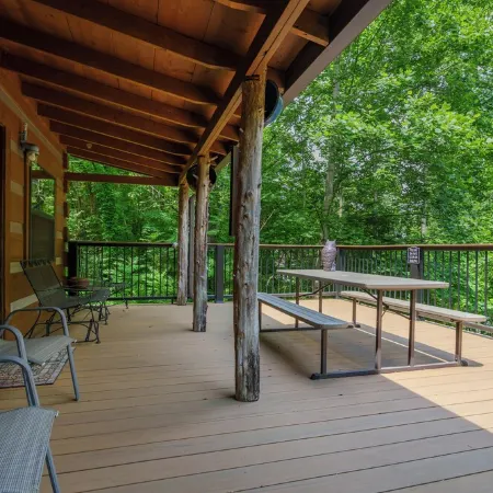 Private Lakeview Rustic Cabin on Barren River Lake -40 min from Beech Bend + WKU