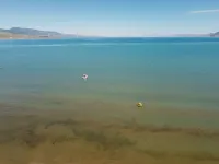 Your perfect home base at Bear Lake. Just a short walk to Bear Lake Marina!