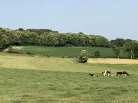 Le Plessis Aux Oiseaux Hotels in Château-Gontier