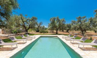 2771 Uliveto Valeria - Trullo Palma by Perle di Puglia