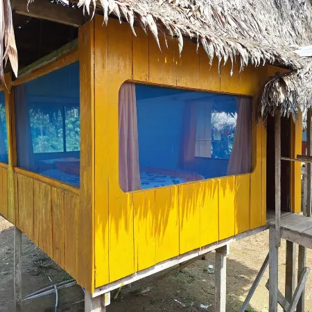 Canopy Tours Iquitos