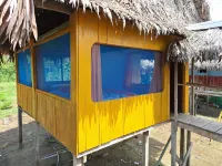 Canopy Tours Iquitos Hotels near Bora Indians