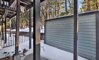 Switzerland Slopes #2125