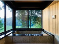 The No.10 Forest Haven Villa Hotels in Nagara